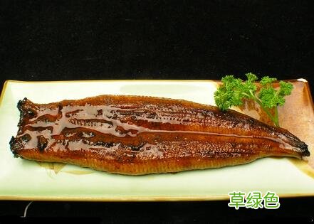 鳗鱼的做法大全 鳗鱼的做法大全