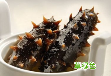 什么人不能吃海参,吃海参的禁忌 什么人不能吃海参