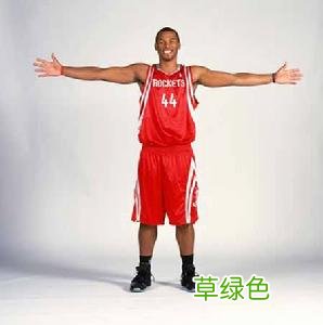 海耶斯为什么打中锋 海耶斯为什么罚球