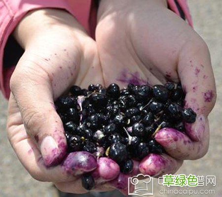 抗辐射食物水果蔬菜 做CT 抗辐射食物