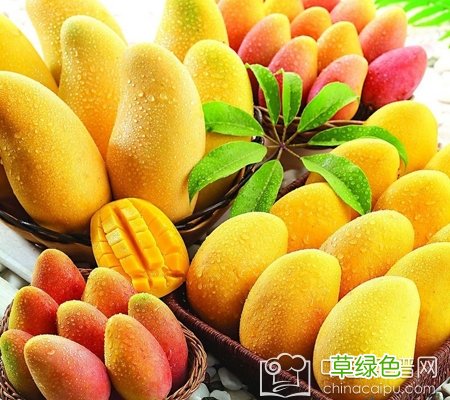 抗辐射食物水果蔬菜 做CT 抗辐射食物