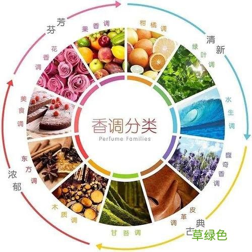 国际十大名牌香水 香水