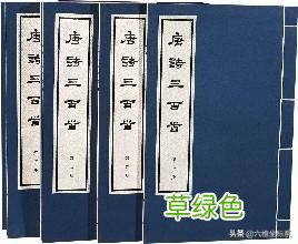 唐诗三百首大全集上部分请为小朋友收藏 含逐字拼音翻译及注释 苑字怎么解释