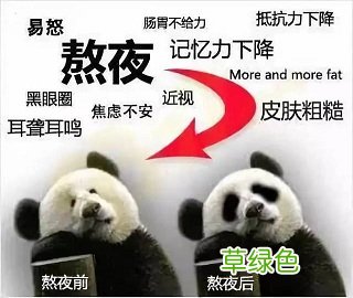 夜猫族英文 夜猫族