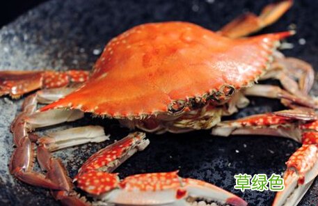 海螃蟹不能和什么一起吃 螃蟹和什么一起吃容易过敏