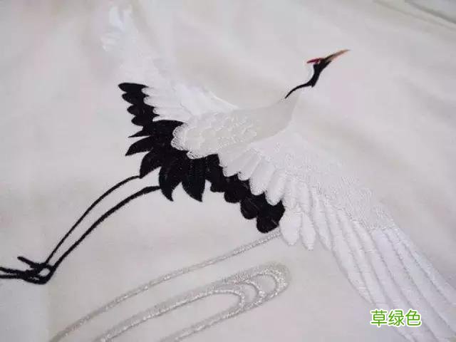 这些字竟然也是姓氏，其中有你吗？ 茅做姓怎么读