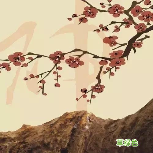 这些字竟然也是姓氏，其中有你吗？ 茅做姓怎么读