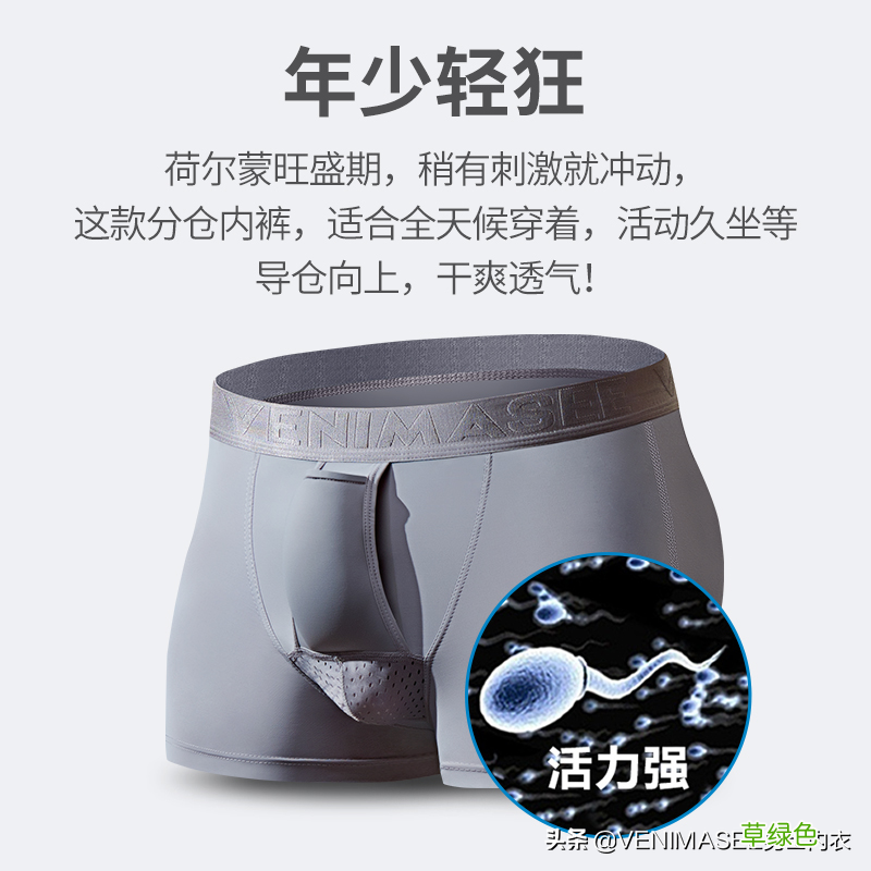 囊袋内裤是什么样 囊袋内裤