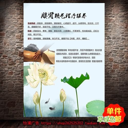 肾部保养的好处与功效图片 肾部保养的好处