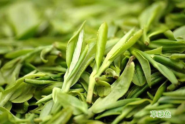盘点各省份的代表茶，看看你都了解多少？有你家乡的茶吗？ 茶名取什么好