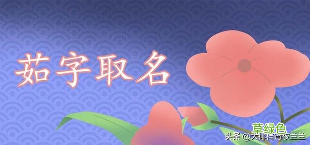 草字头的茹代表什么意思？ 茹姓氏怎么读