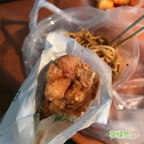 妙灵丸怎么样 妙丸家怎么样