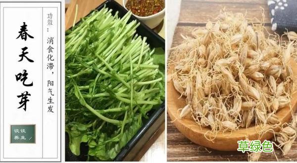 脾虚的食疗方法有哪些 脾虚的食疗方法