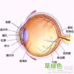 玻璃体浑浊如何处理 什么是玻璃体混浊