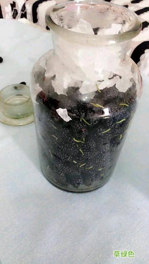 桑葚怎么泡酒的做法 桑葚酒的做法