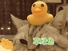 男长度从哪里量 男长度