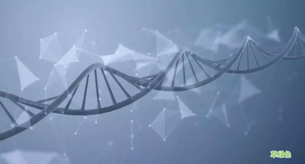 艾滋病病毒抗体 艾滋病病源首次确认