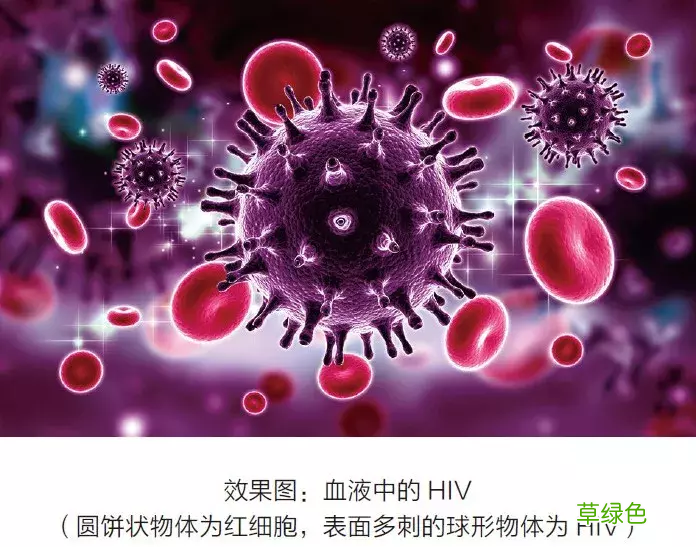艾滋病病毒抗体 艾滋病病源首次确认