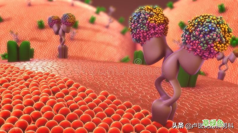 男人ed怎么办视频 男人ed怎么办