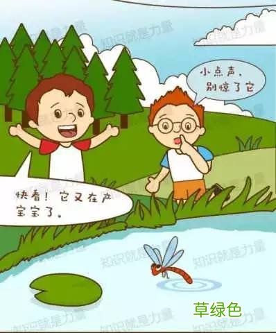 蜻蜓点水蜻蜓点水的意思 蜻蜓点水的意思