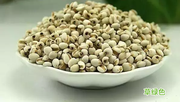 治疗青春痘凹洞 治疗青春痘
