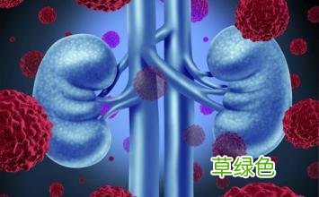 肾炎严重吗能治愈吗能活多久 肾炎能治好吗