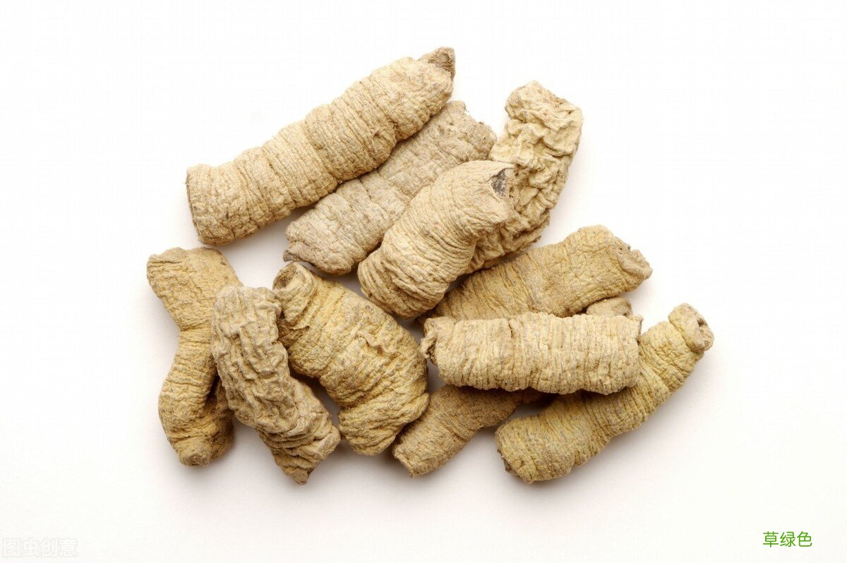 补肾壮阳药方子 补肾壮阳药方