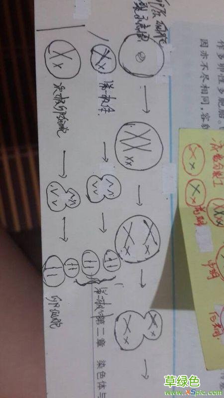 染色体是什么病 染色体是什么