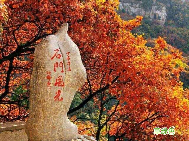 这些山东地名你都读对了吗？ 莘怎么读姓氏