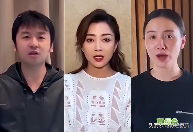 疫情下的明星百态：有人捐款数百万，有人甘当志愿者，都值得点赞 董叔名字怎么样