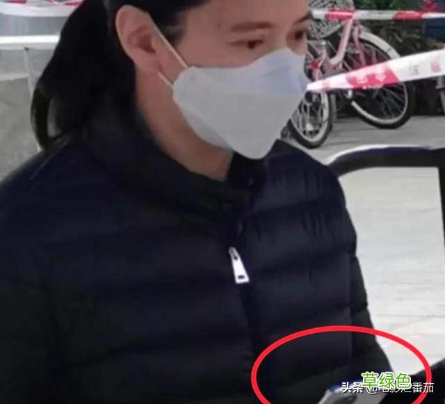 疫情下的明星百态：有人捐款数百万，有人甘当志愿者，都值得点赞 董叔名字怎么样