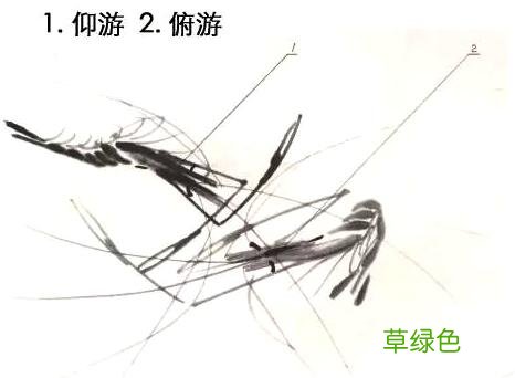 超详细：中国画——虾的画法，先收藏慢慢看吧 虾的笔画怎么写
