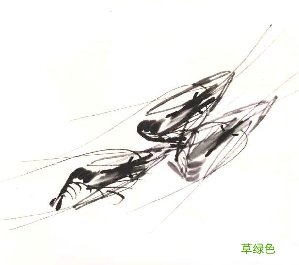 超详细：中国画——虾的画法，先收藏慢慢看吧 虾的笔画怎么写