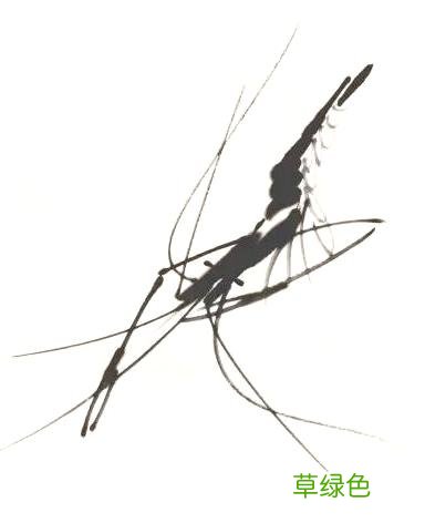 超详细：中国画——虾的画法，先收藏慢慢看吧 虾的笔画怎么写