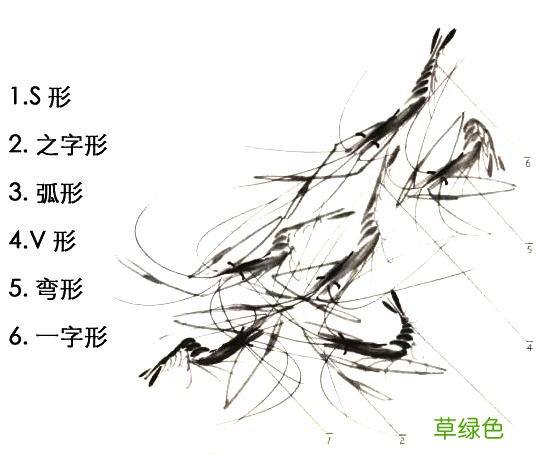 超详细：中国画——虾的画法，先收藏慢慢看吧 虾的笔画怎么写