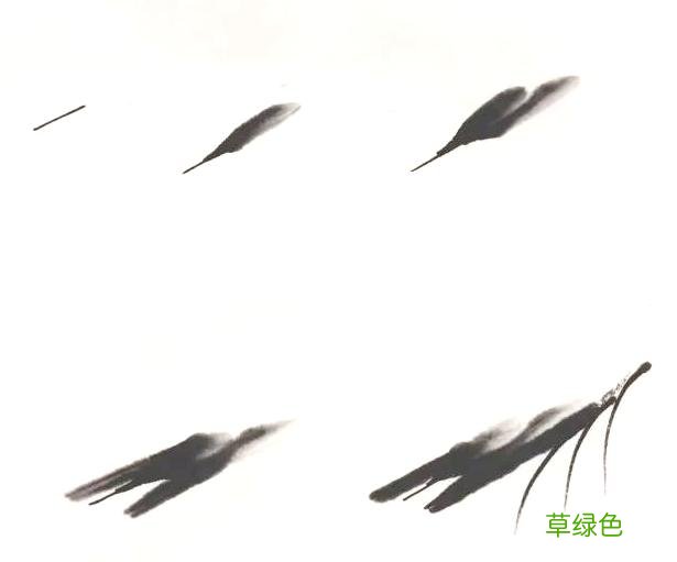 超详细：中国画——虾的画法，先收藏慢慢看吧 虾的笔画怎么写