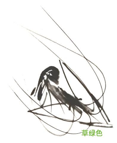 超详细：中国画——虾的画法，先收藏慢慢看吧 虾的笔画怎么写