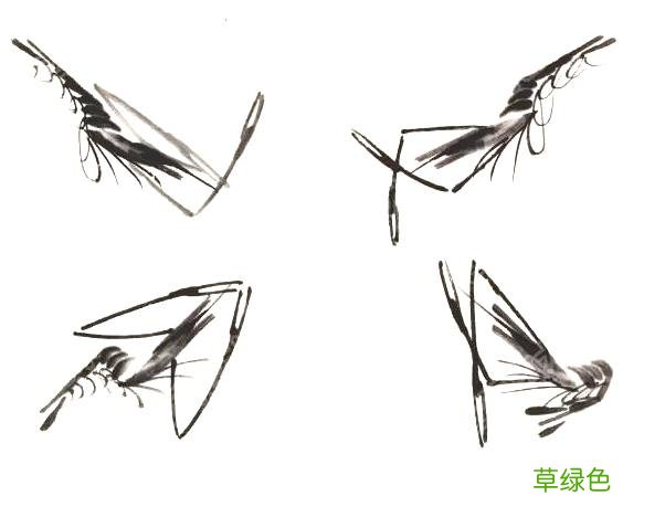 超详细：中国画——虾的画法，先收藏慢慢看吧 虾的笔画怎么写