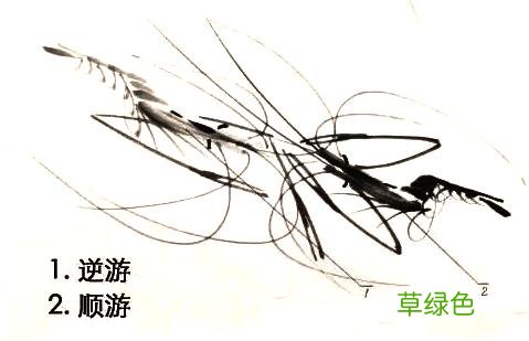 超详细：中国画——虾的画法，先收藏慢慢看吧 虾的笔画怎么写