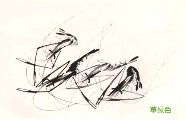 超详细：中国画——虾的画法，先收藏慢慢看吧 虾的笔画怎么写