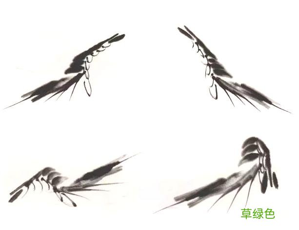 超详细：中国画——虾的画法，先收藏慢慢看吧 虾的笔画怎么写