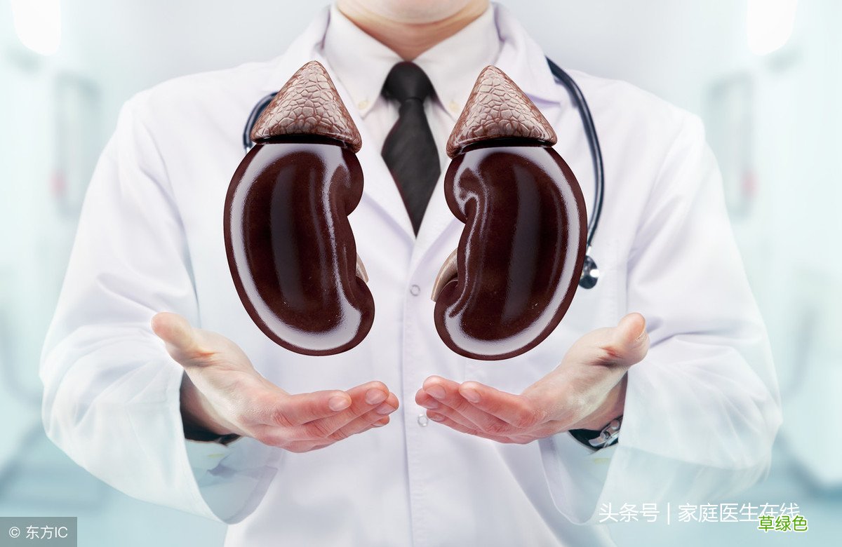 肾发炎怎么治疗 肾炎的治疗