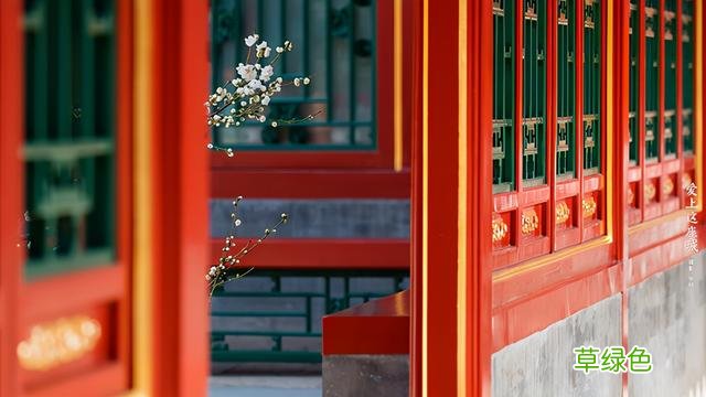 10个带蓉字通今博古的小男孩名字，不必知生平，入目即惊艳 蓉是什么字