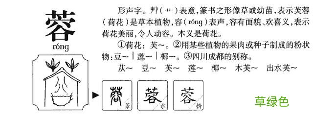 10个带蓉字通今博古的小男孩名字，不必知生平，入目即惊艳 蓉是什么字