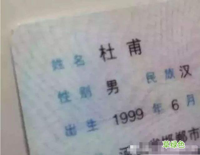 爸爸姓甄，随口给龙凤胎取名，上户口的民警赞不绝口：惊艳四座 男生叫甄什么