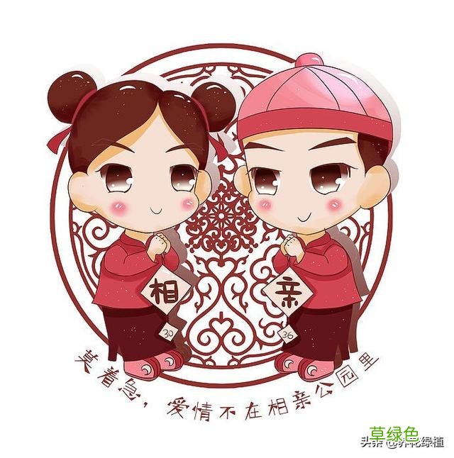 二月初七，是年轻人相亲日，大家祈福日，更是祈求宝宝健康日 相亲怎么选吉日