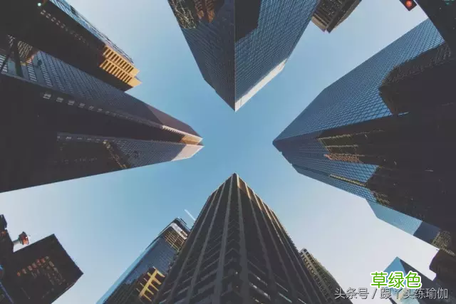 白领健康网