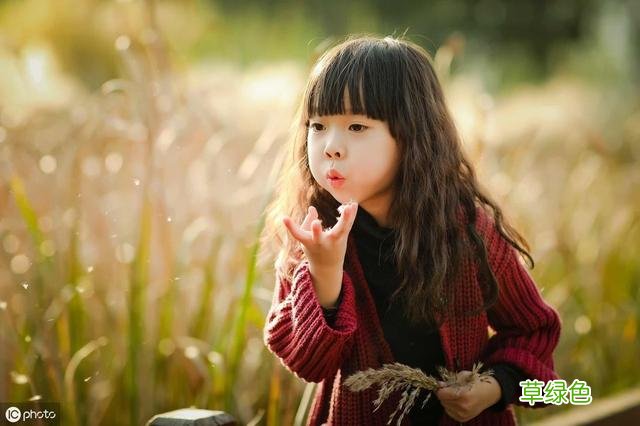 2019年出生猪宝宝 超好听女孩名字 妍五行什么