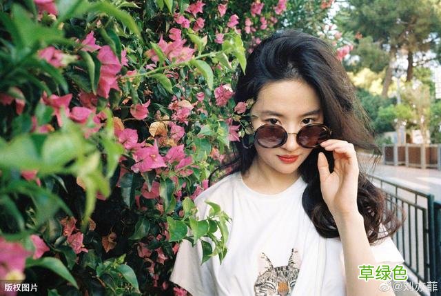 女宝宝起名不求人 温婉大气的常用字推荐 很文艺很好听 妙字取名字