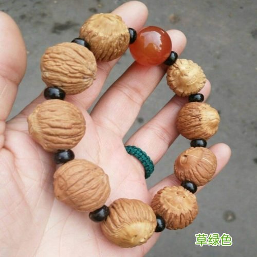 发展庭院种植麻核桃是一个不错的致富选择